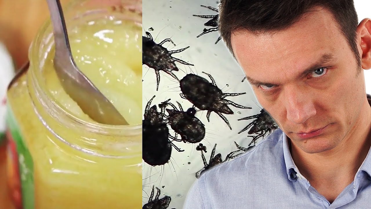 Krótki film o miodzie i robakach